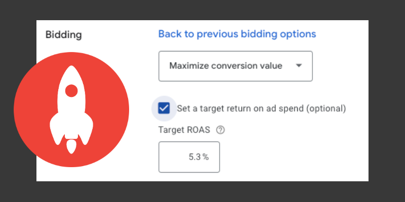 screenshot of Google Ads bidding section with Maximize Conversion Value selected and the option to set a target ROAS selected